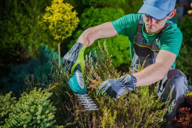 landscaping services Axtell